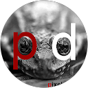 Pidi Pixeldiary profile picture
